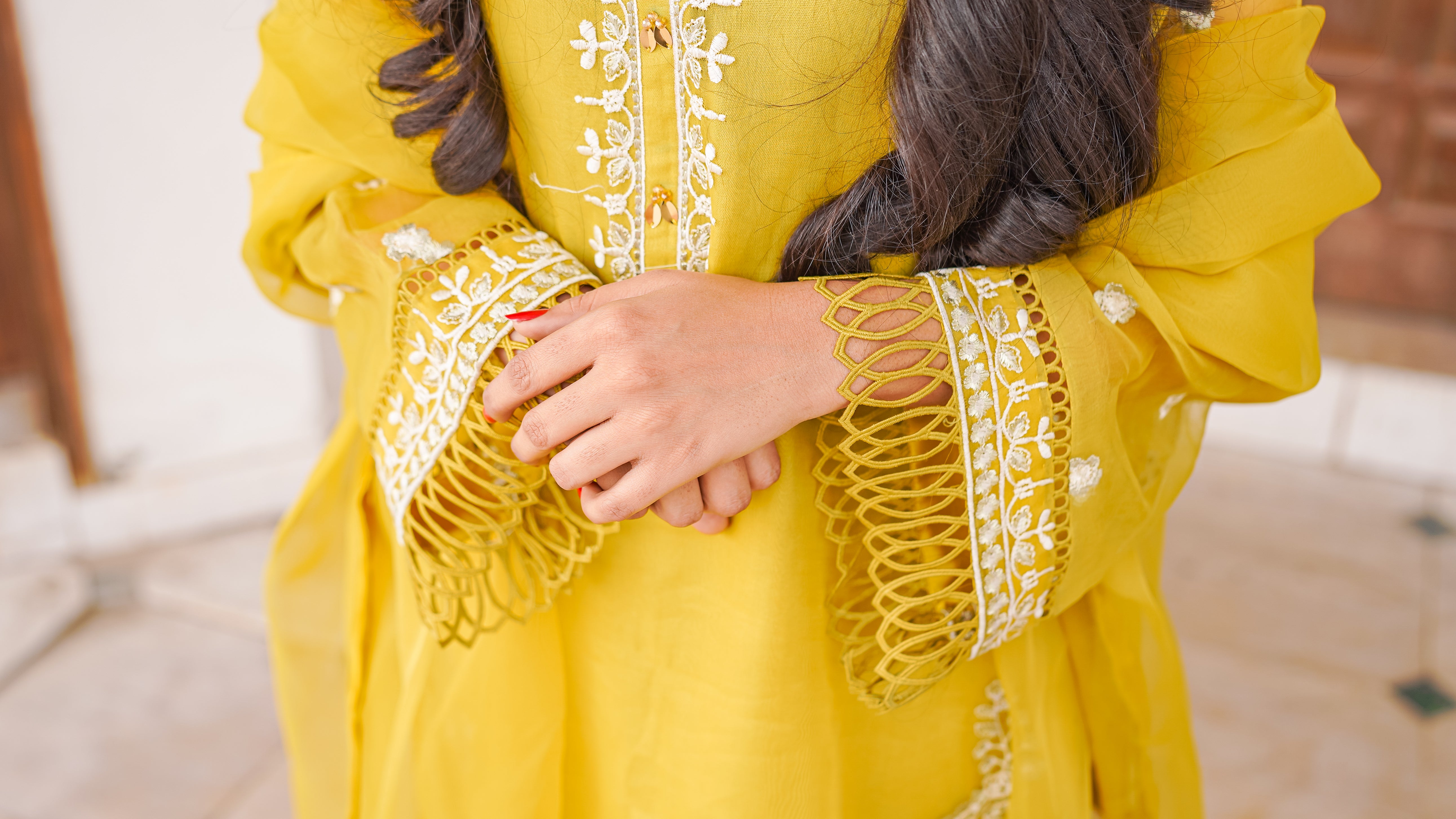 3 - Piece Pure Organza Embroidered Suit