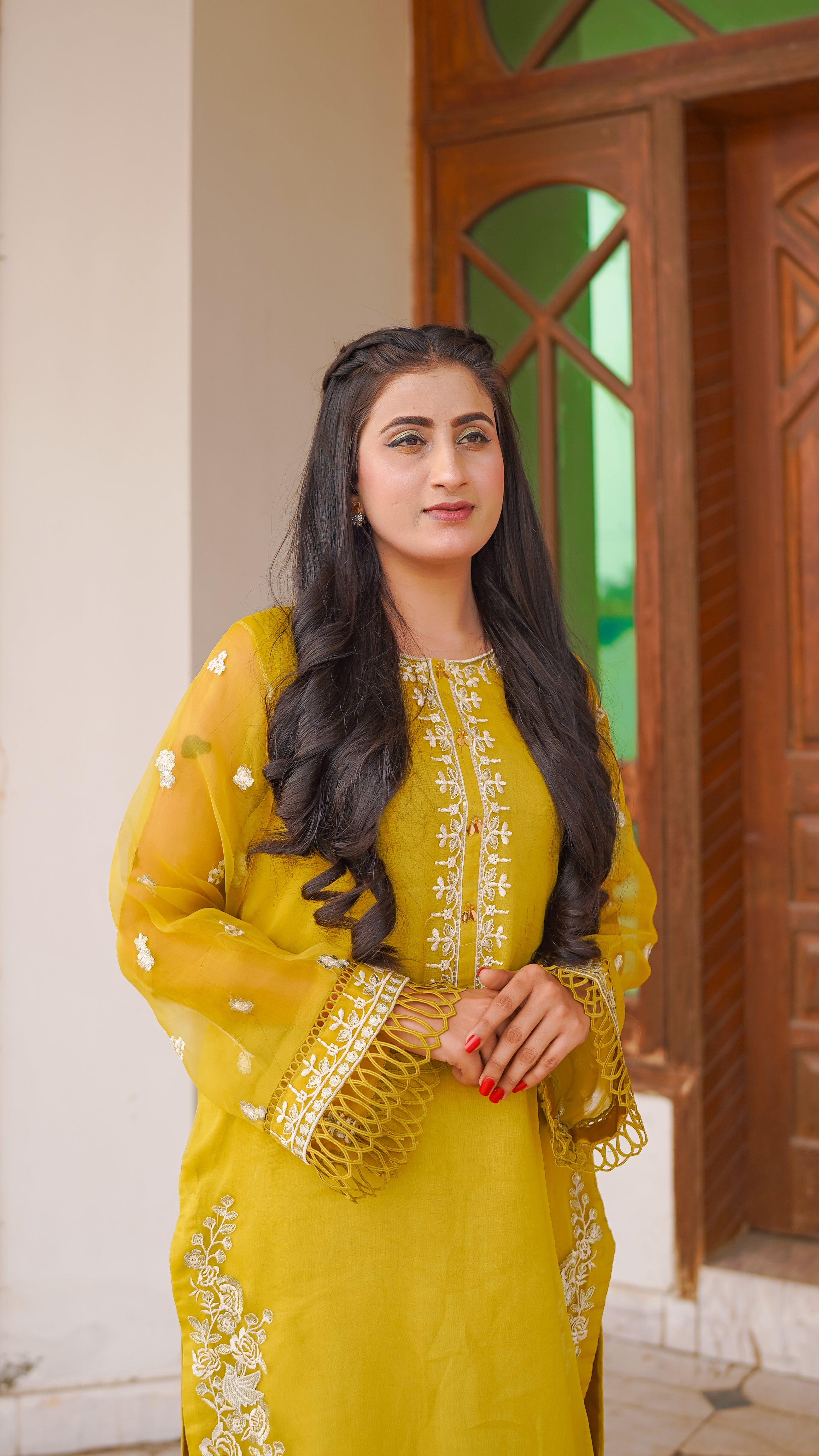 3 - Piece Pure Organza Embroidered Suit